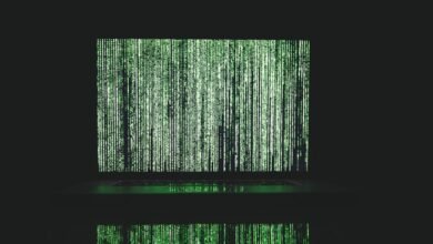 reverb stream verification successful
