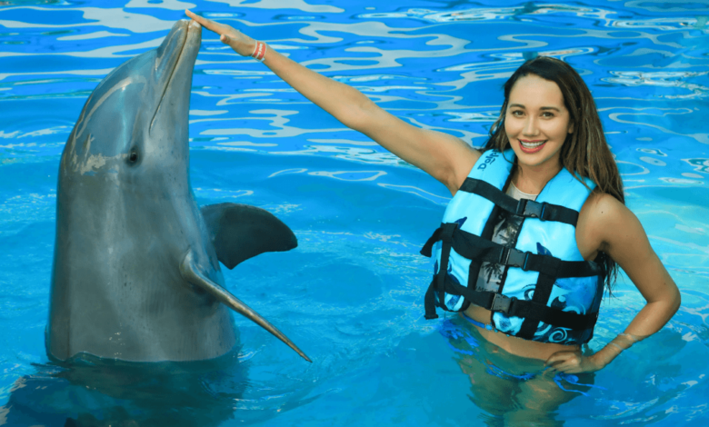 Dolphin Encounters at Aquaventuras Park: A Joyful Experience