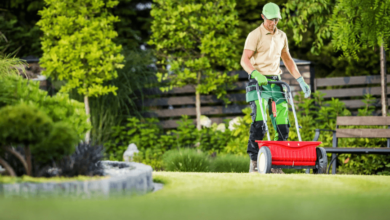 Transform Your Yard with Professional Solutions