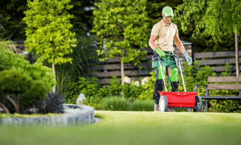 Transform Your Yard with Professional Solutions