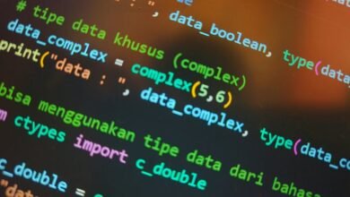 digital development importance explained