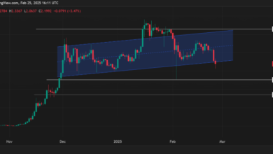 XRP Price USD: Should You Buy the Dip?