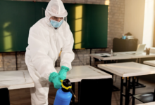 Bedbugs in College Dorms: Prevention & Treatment
