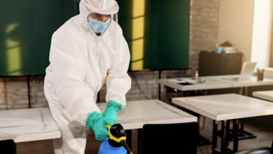 Bedbugs in College Dorms: Prevention & Treatment