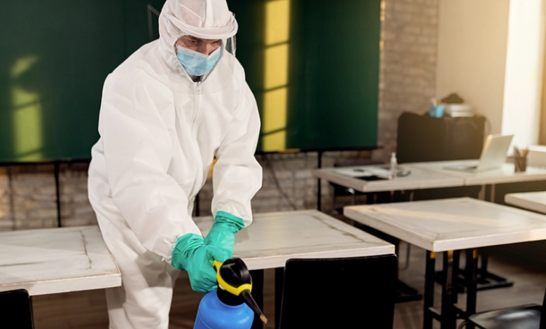 Bedbugs in College Dorms: Prevention & Treatment