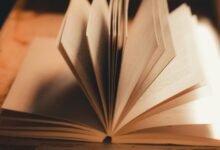 internal linking strategy analysis