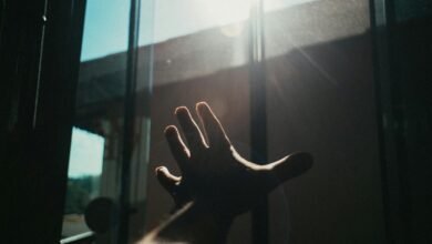 massive organic reach boost